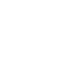 Sustained innovation